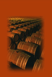 wine barrels